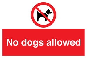 No dogs allowed